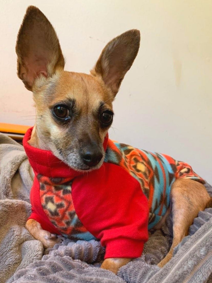 Dreamcatcher Aztec Dog Sweater - Made to Order