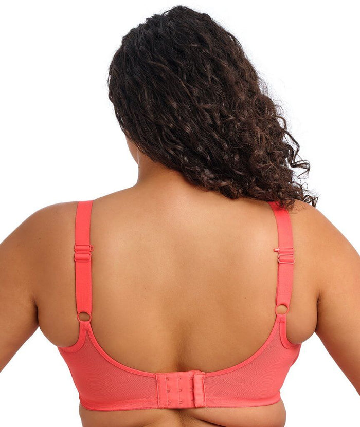 Elomi Matilda Underwired Plunge Bra - Sunset