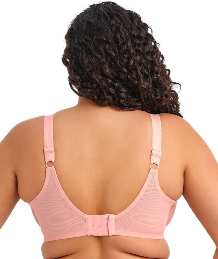 Elomi Zarla Underwire Bra - Rose Bud