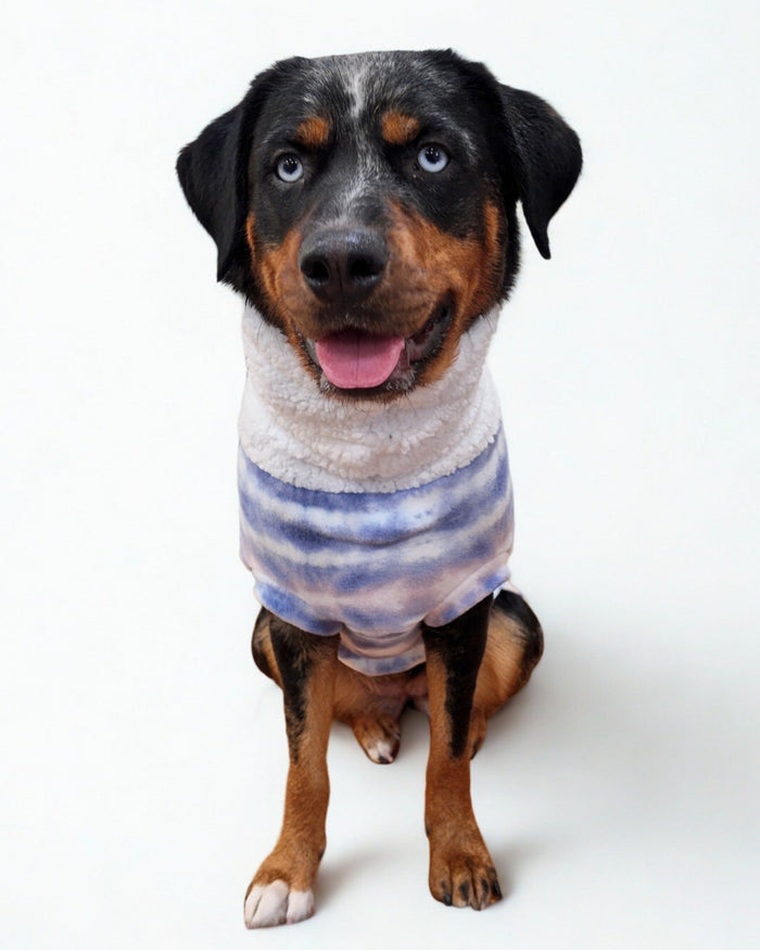 Fantasia purple tie-dye fleece dog sweater with white sherpa turtleneck on black dog, sitting front view