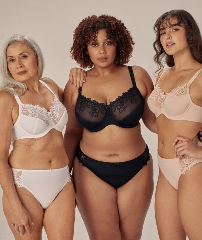 Fayreform Coral High Cut Brief - Latte Knickers