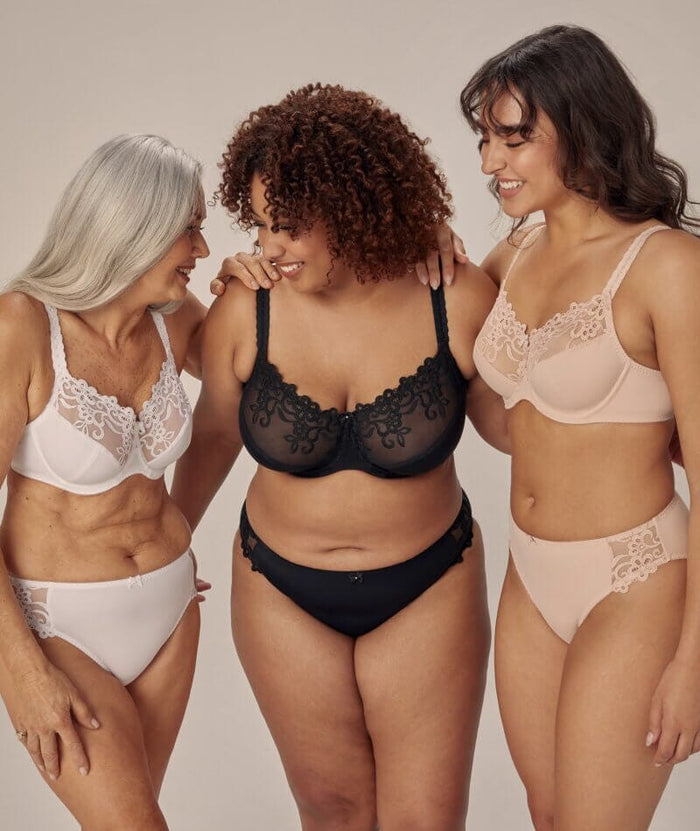 Fayreform Coral High Cut Brief - Latte Knickers