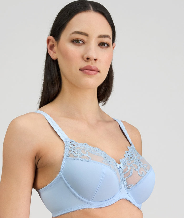 Fayreform Coral Underwire Bra - Skyway