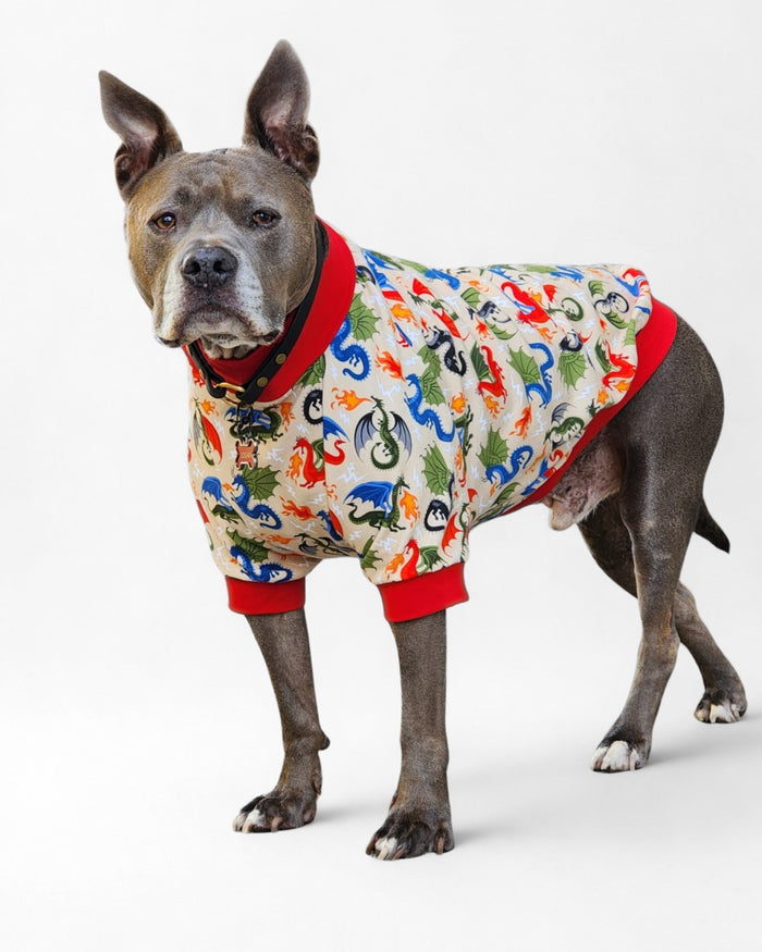 Fire Dragon cotton spandex dog pajamas worn by a gray pitbull, front view on neutral backdrop