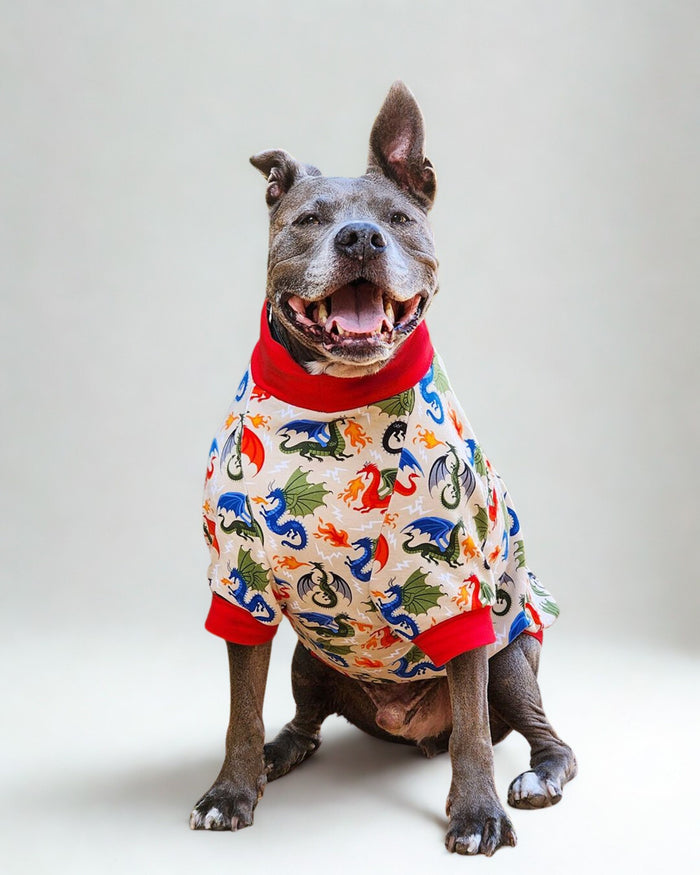Fire Dragon cotton spandex dog pajamas on gray pitbull, sitting pose with dragon print detail