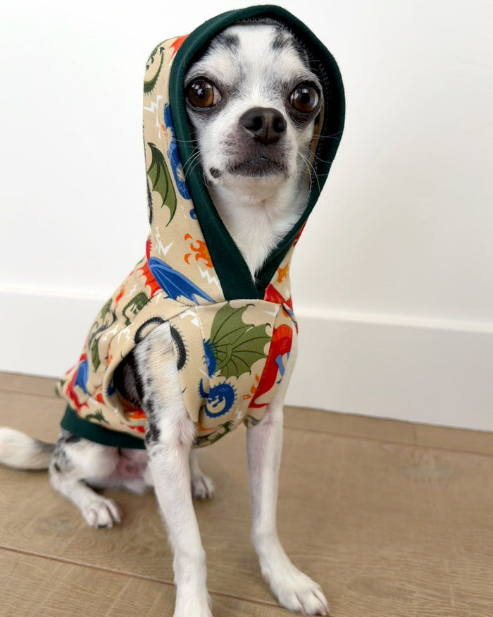 Fire dragon lightweight cotton-spandex dog hoodie on Chihuahua, front view with hood up