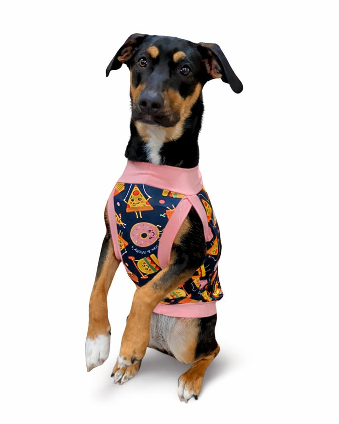 Fitness junkie lightweight dog pajamas on sitting black dog