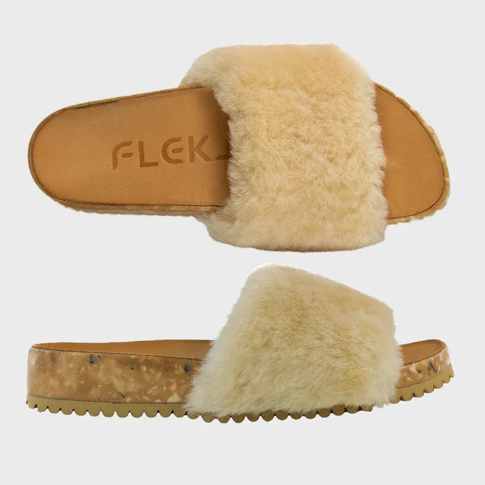 Fleks San Ysidro Slide