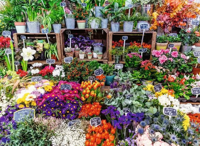 Flower Market, France 500pc Puzzle