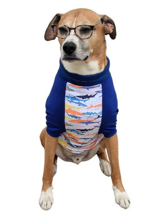 Jax & Molly's Shark Raglan Dog Pajamas