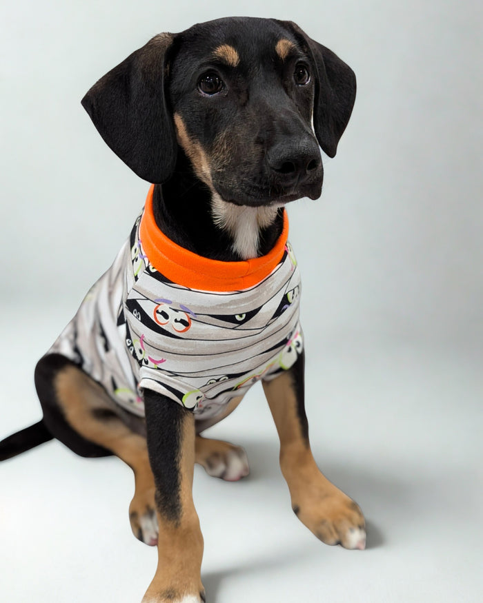 Dog wearing Glow-in-the-dark Halloween  mummy wrap pajamas with orange neck trim.