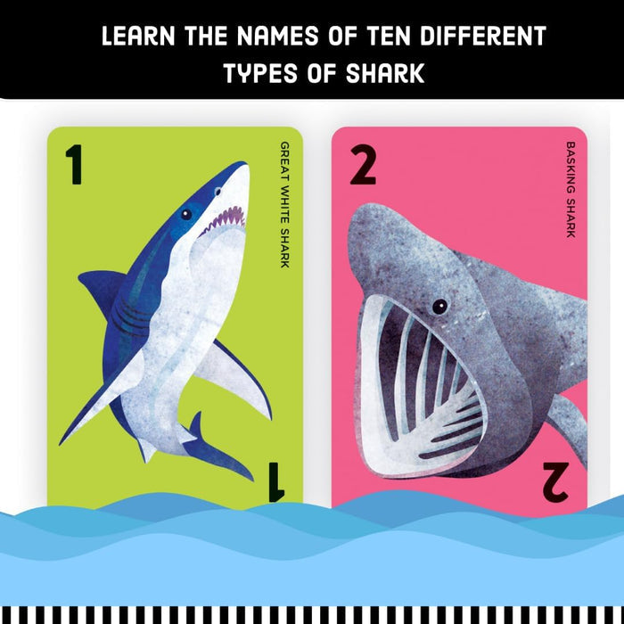 Go Shark!