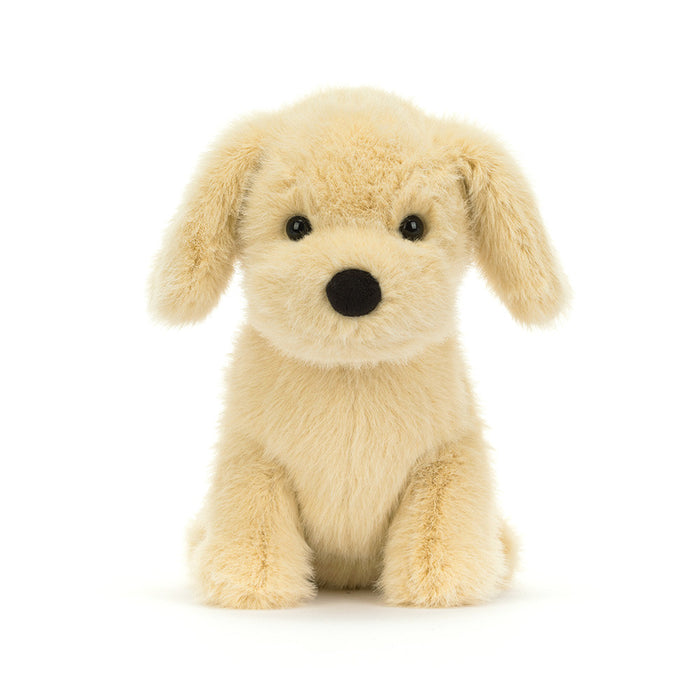 Golden Puppy