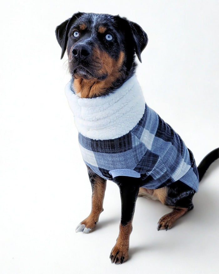 Gray and black plaid fleece dog sweater with white sherpa turtleneck on dog, sitting