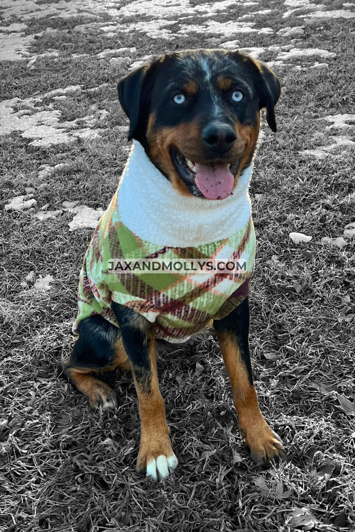 Green and brown plaid fleece dog sweater with white sherpa turtleneck on black and tan dog, front view sitting