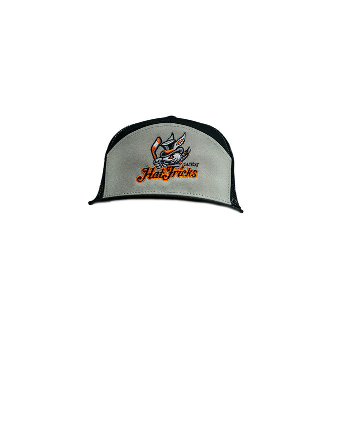 Grey & Black Sectioned Snapback