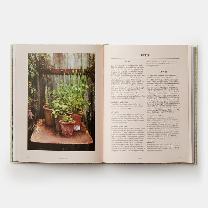 Grow Fruit & Vegetables in Pots: Planting Advice & Recipes from Great Dixter