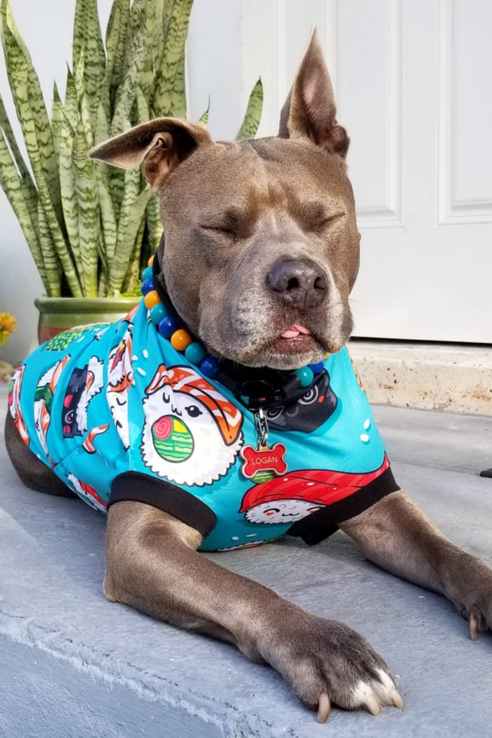 Jax & Molly's Sushi Dog Pajamas