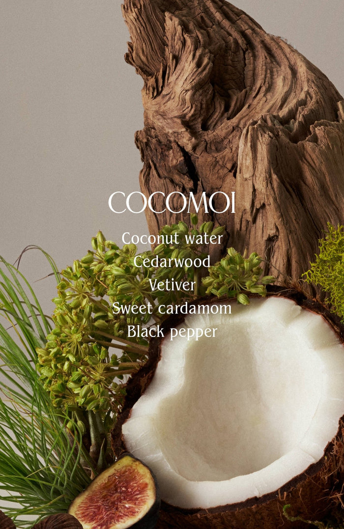 Homecourt | Cocomoi Body Butter - Homecourt - Living with Ivey