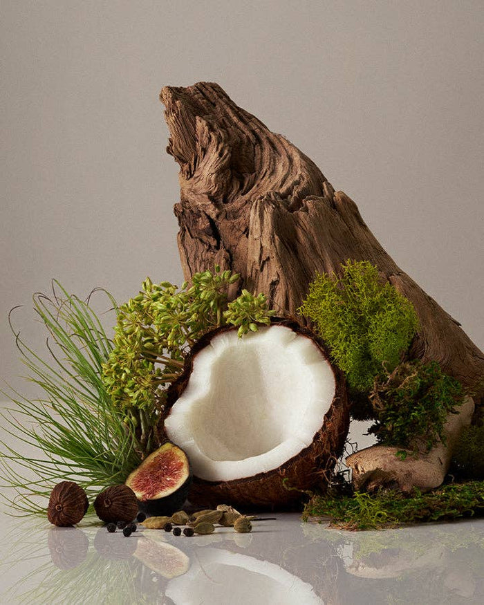 Homecourt | Cocomoi Body Wash - Homecourt - Living with Ivey