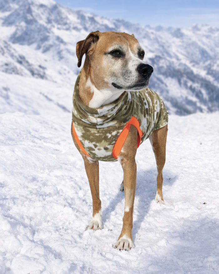 Dog showcasing camouflage fleece dog sweater