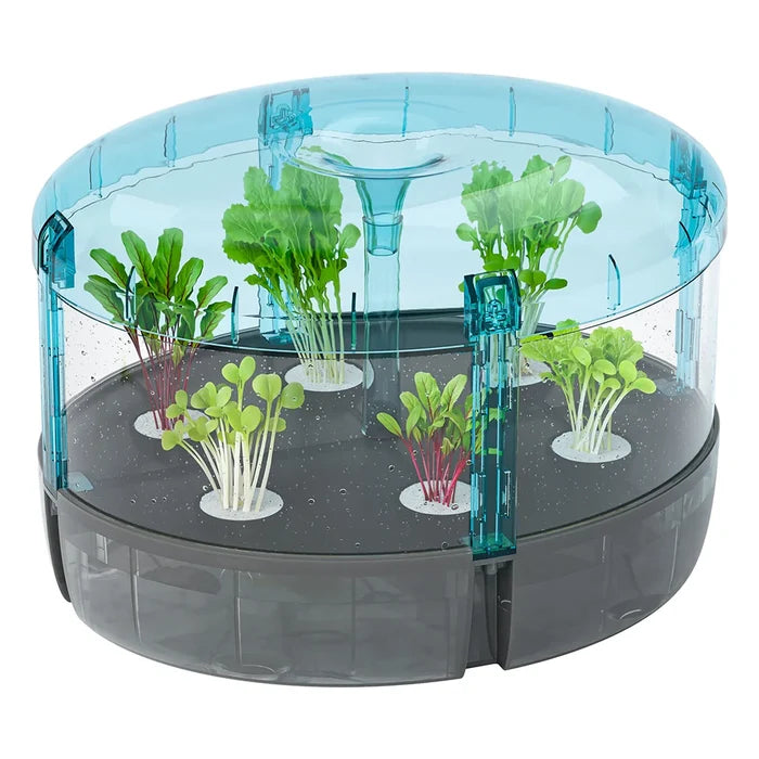 Horticultural lab with plants inside on a white background