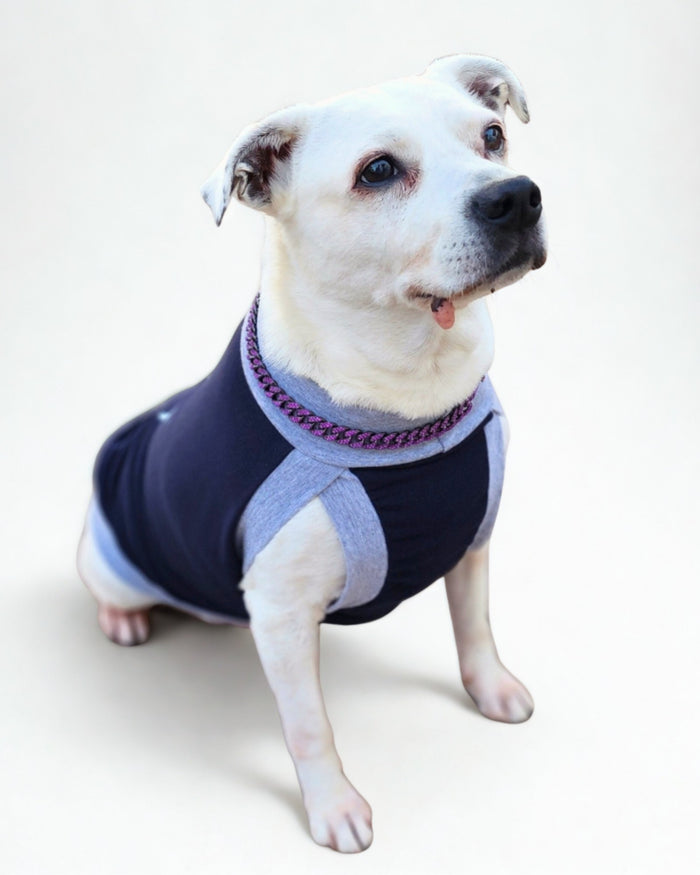I Had You at Woof cotton-spandex dog tank on white dog sitting, front view