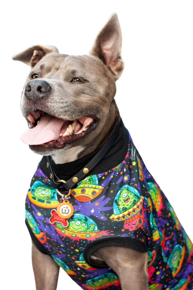 Jax & Molly's Ufo Dog Pajamas