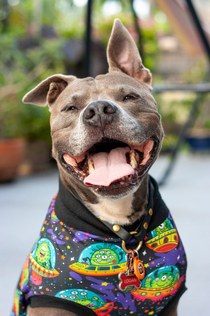 Jax & Molly's Ufo Dog Pajamas