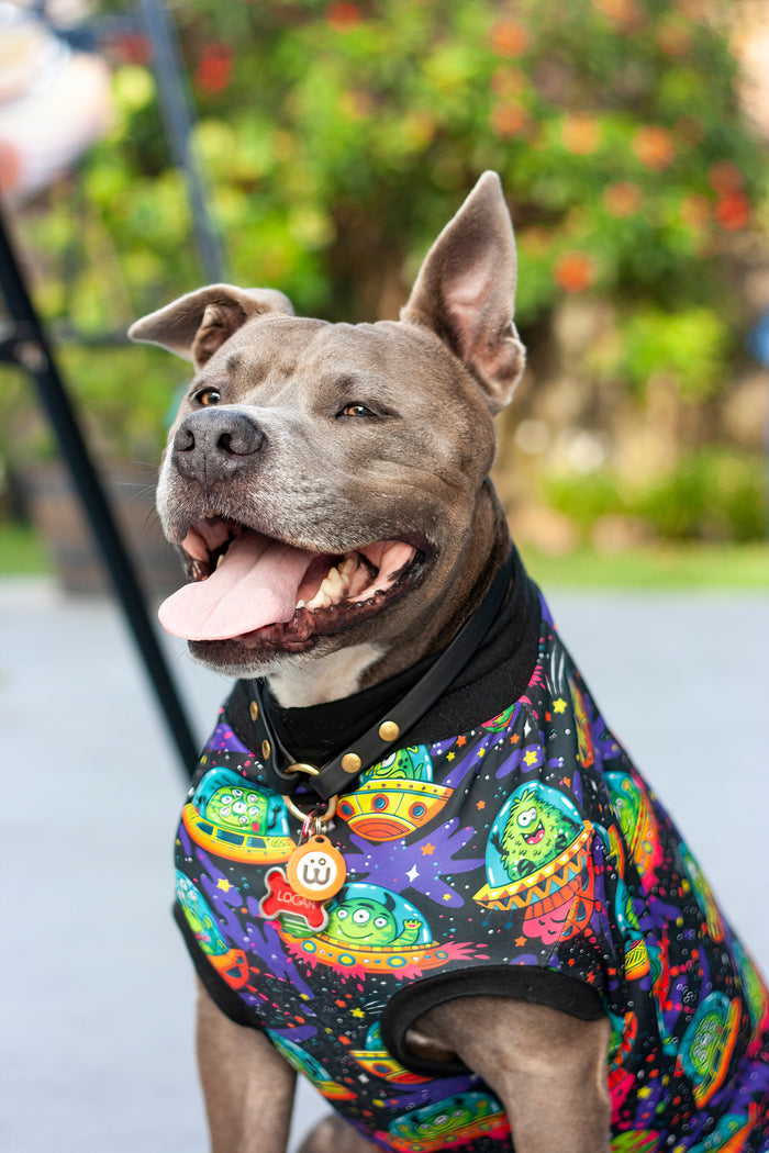 Jax & Molly's Ufo Dog Pajamas