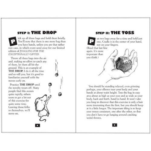 Juggling For The Complete Klutz