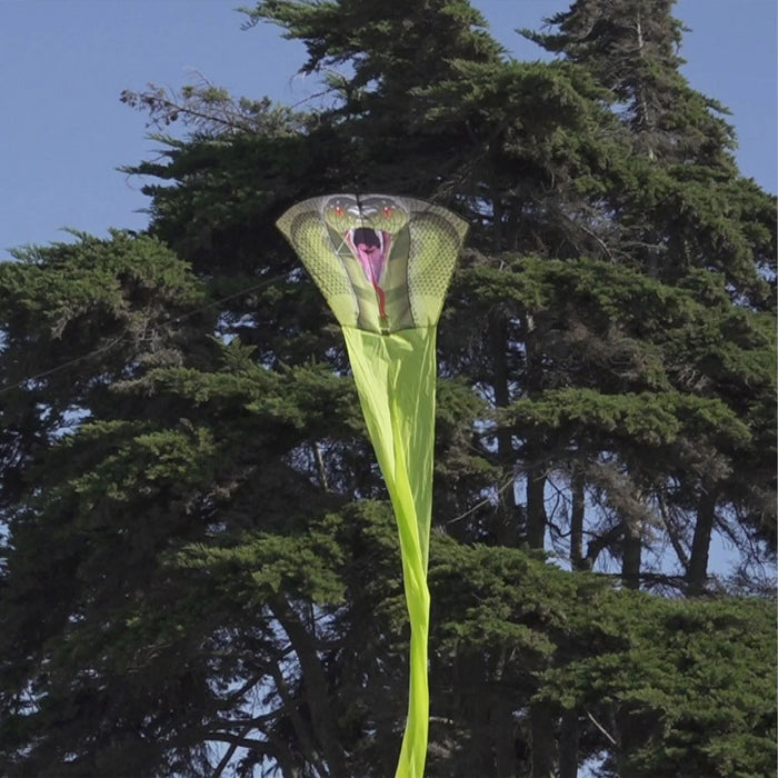 King Cobra 147" Kite