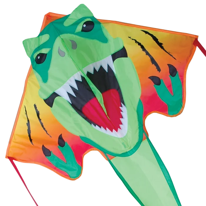 Large Easy Flyer Kites