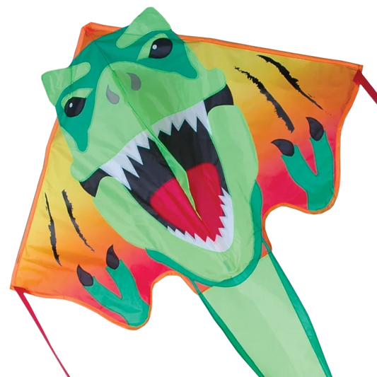 Large Easy Flyer Kites