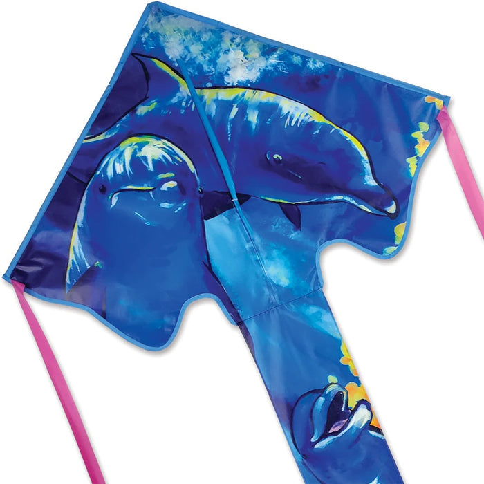 Large Easy Flyer Kites