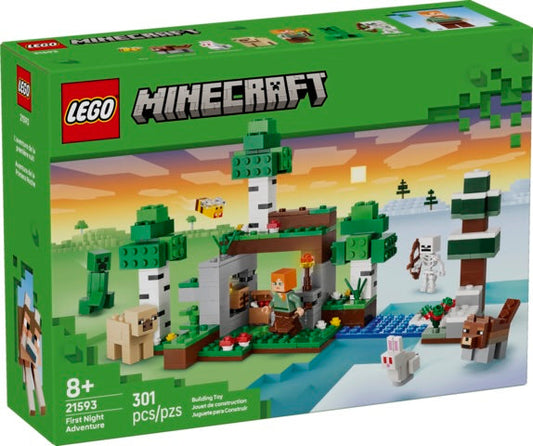 LEGO Minecraft First Night Adventure set 21593 building toy box, featuring a green box design with a colorful preview of a pixelated night scene including a player, sheep, wolf, skeleton, and trees.