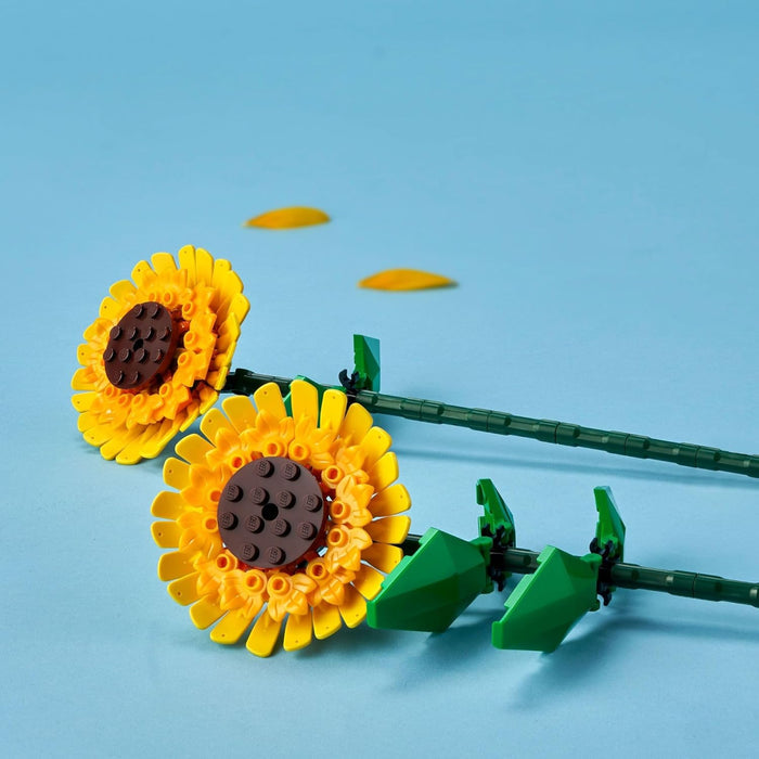 Two sunflower-shaped objects with brown centers on green stems against a blue background