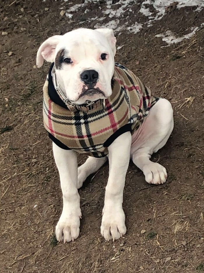 Jax & Molly's Camel Plaid Dog Sweater Pullover