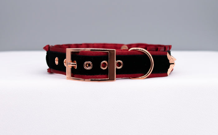Limited Edition - Gothic Black Velvet and Red Collar