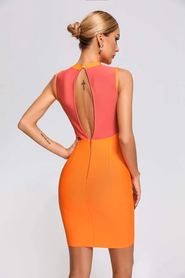 Lisa Mini Dress Winteres