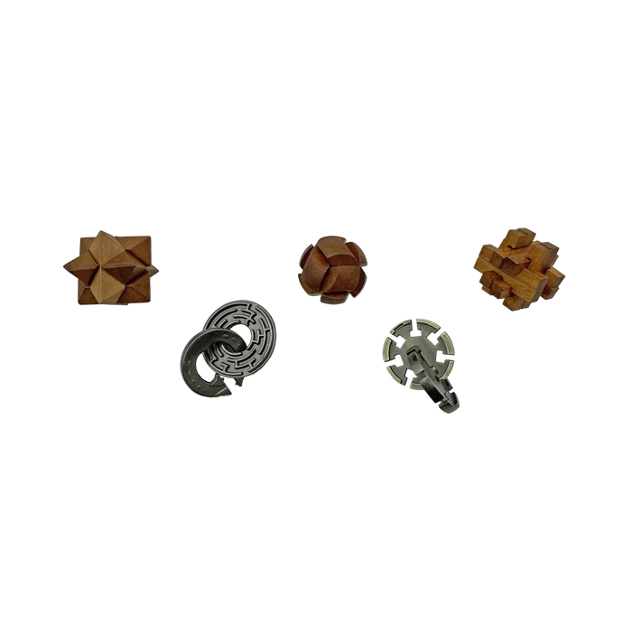 Lost Treasure Wood & Metal Brainteasers