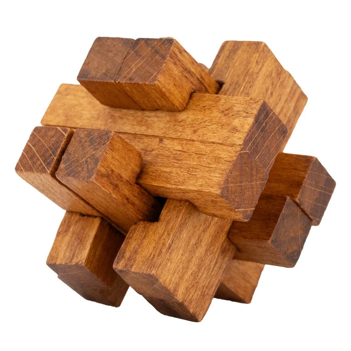 Lost Treasure Wood & Metal Brainteasers