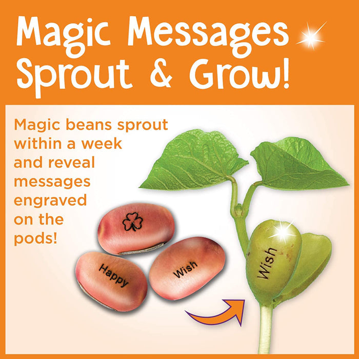 Magic Bean Garden