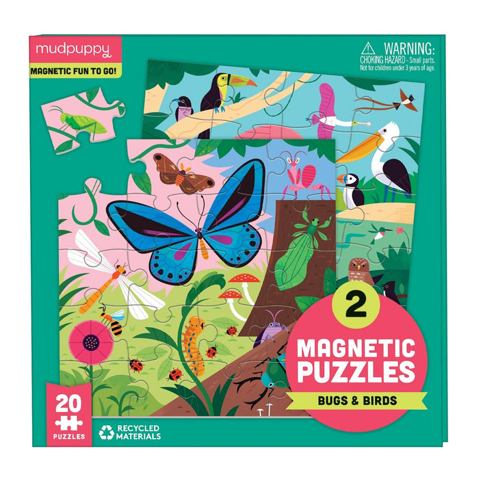 Magnetic Puzzles