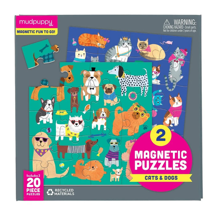 Magnetic Puzzles