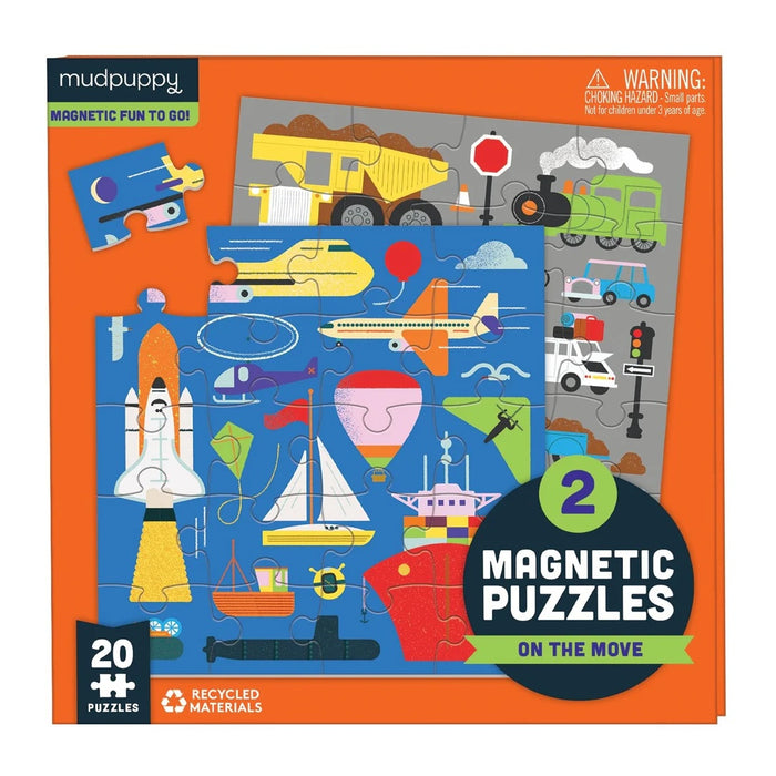 Magnetic Puzzles