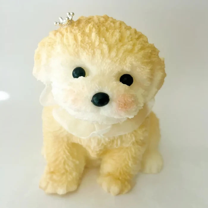 Small squishy dog with a tiara on a white background