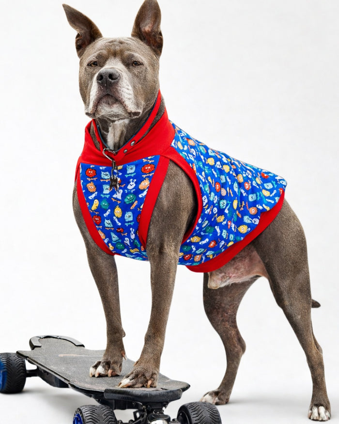 Monster Skateboarders cotton-spandex dog pajamas on dog, posing on skateboard