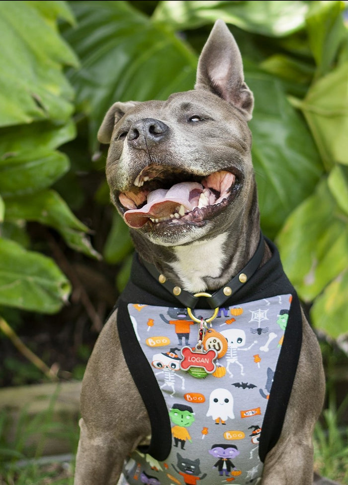 A stunning gray pitbull flashes a bright smile while donning the Monster Squad Halloween Dog Muscle Tank. The tank features a playful print of iconic monsters like Dracula and Frankensteins accented with black trim.