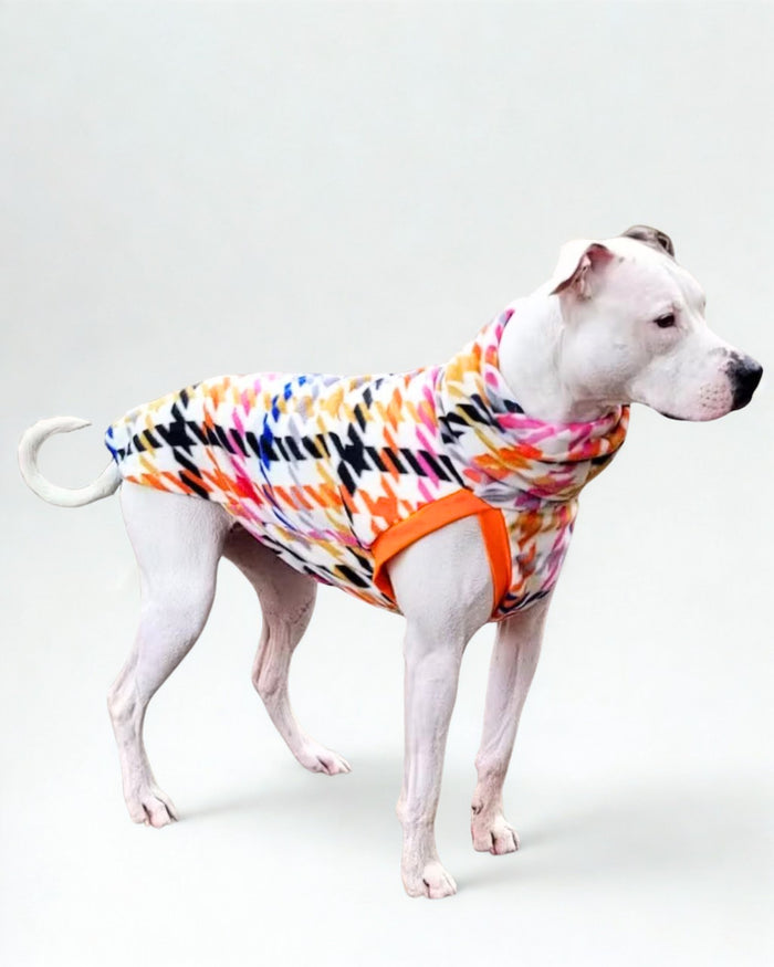 Multicolored Houndstooth fleece dog sweater on white dog, standing